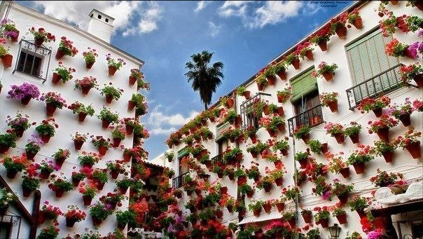 Кордоба, Испания.
