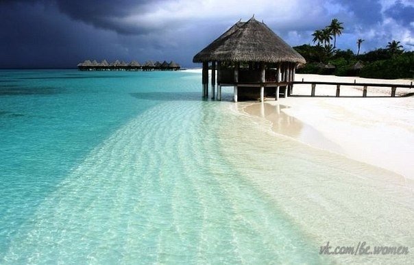 бросить бы все и улететь сюда.. на Мальдивы ♥)