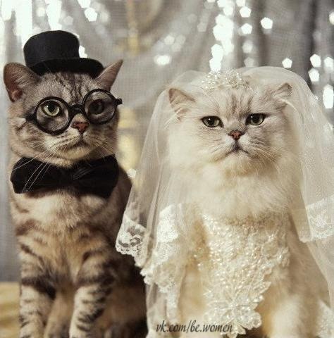 Жених и невеста...:)