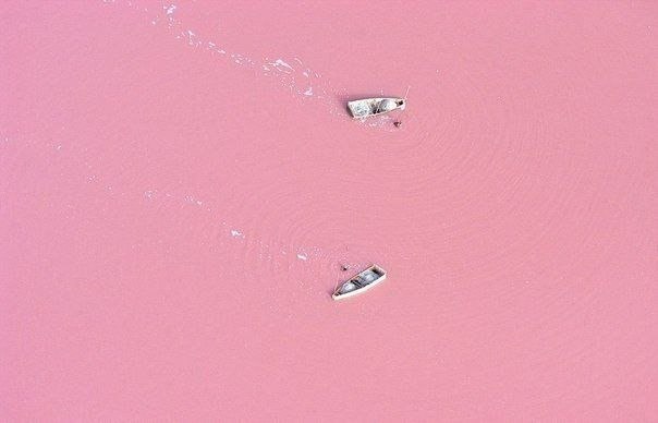 Розовое озеро Ретба в Сенегале, Западная Африка.