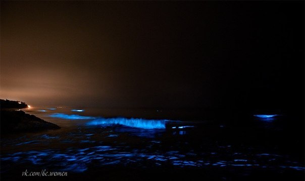 Волшебство...Светящийся планктон на пляже острова Ваадху, Мальдивы.