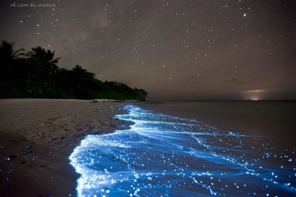 Волшебство...Светящийся планктон на пляже острова Ваадху, Мальдивы.