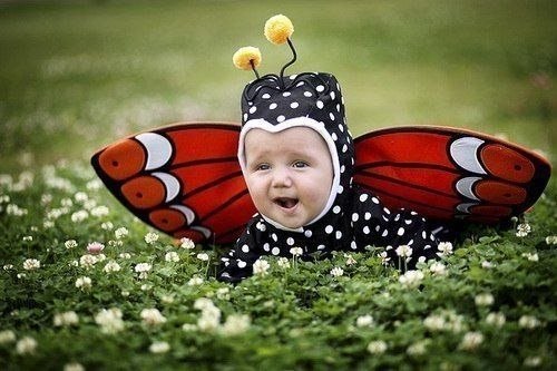 Самая обаятельная бабочка.