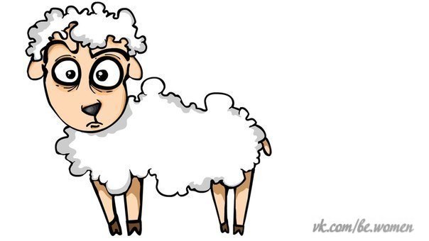 Если какая-нибудь овца насрала вам в душу, простите ее, это она от страха