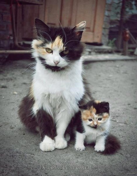 Мама и дочка