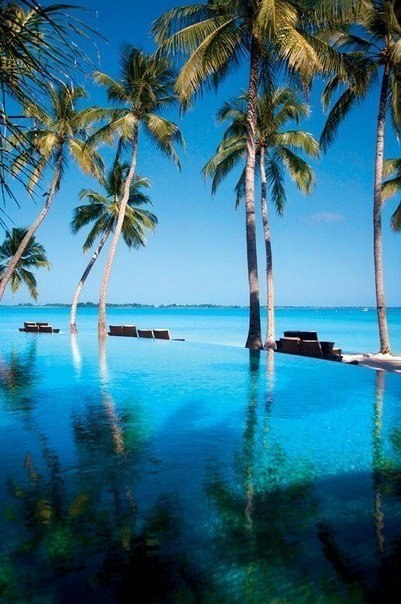 Махнуть бы сейчас на Мальдивы