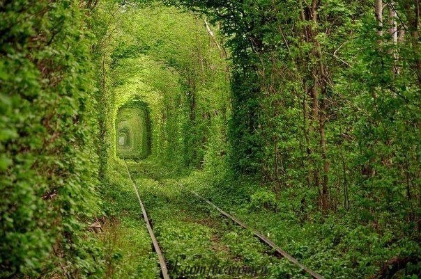 "Туннель Любви" зимой и летом.