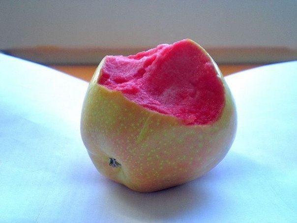 Сорт яблок: розовый жемчуг.