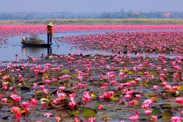 Необычное озеро в Тайланде.